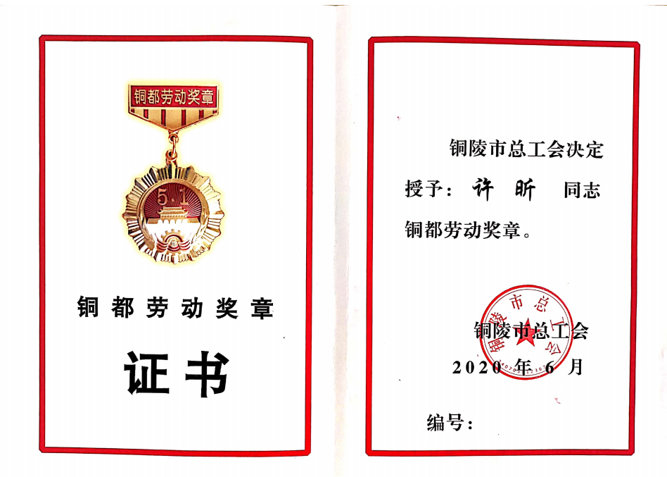 铜都劳动奖章证书—许昕